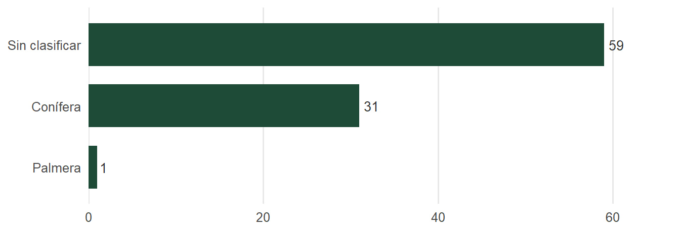 Gráfico de barras de ejemplares por grupo: coníferas, palmeras y sin clasificar.