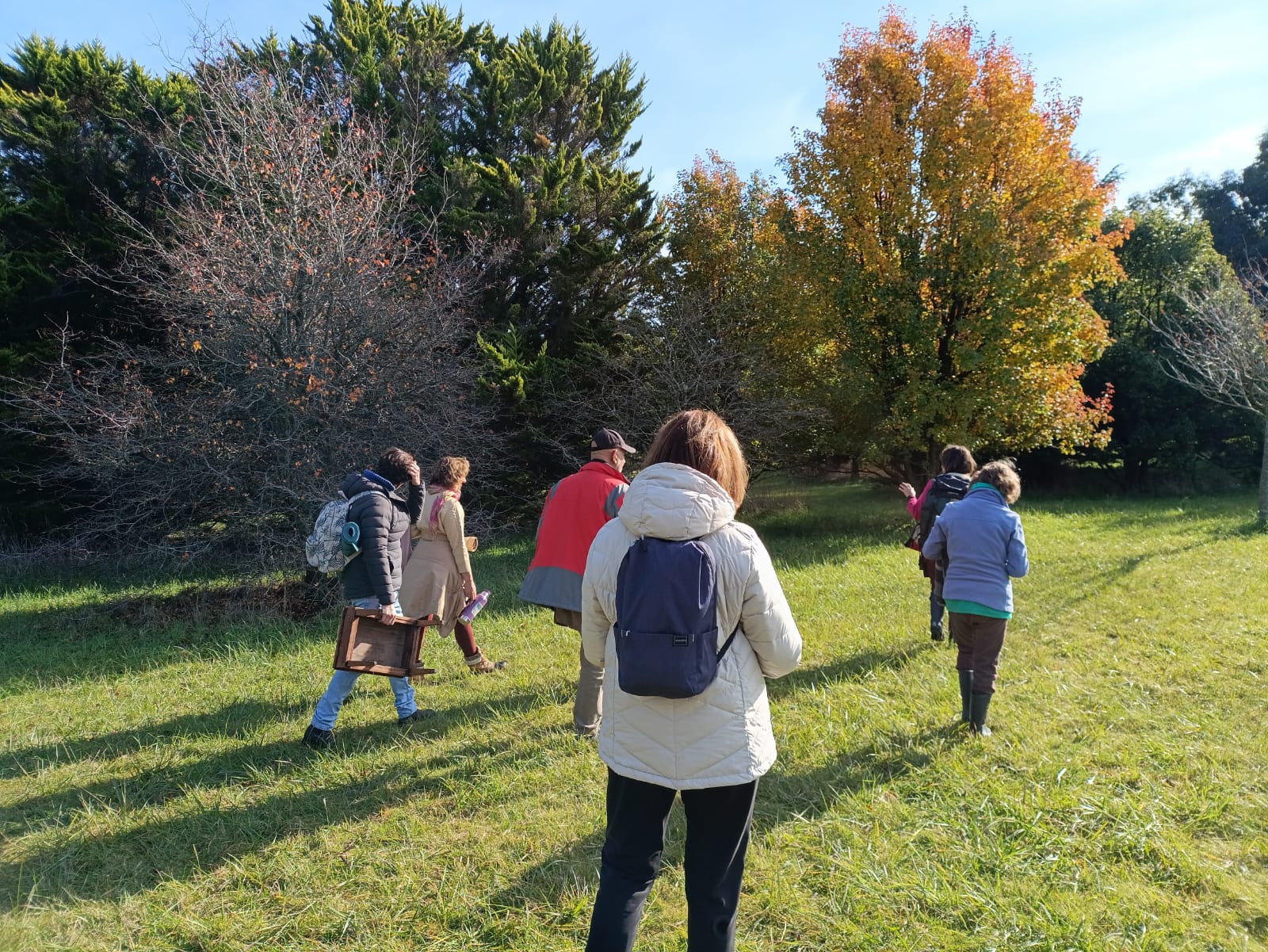 Grupo caminando en silencio entre los árboles del arboretum, en otoño