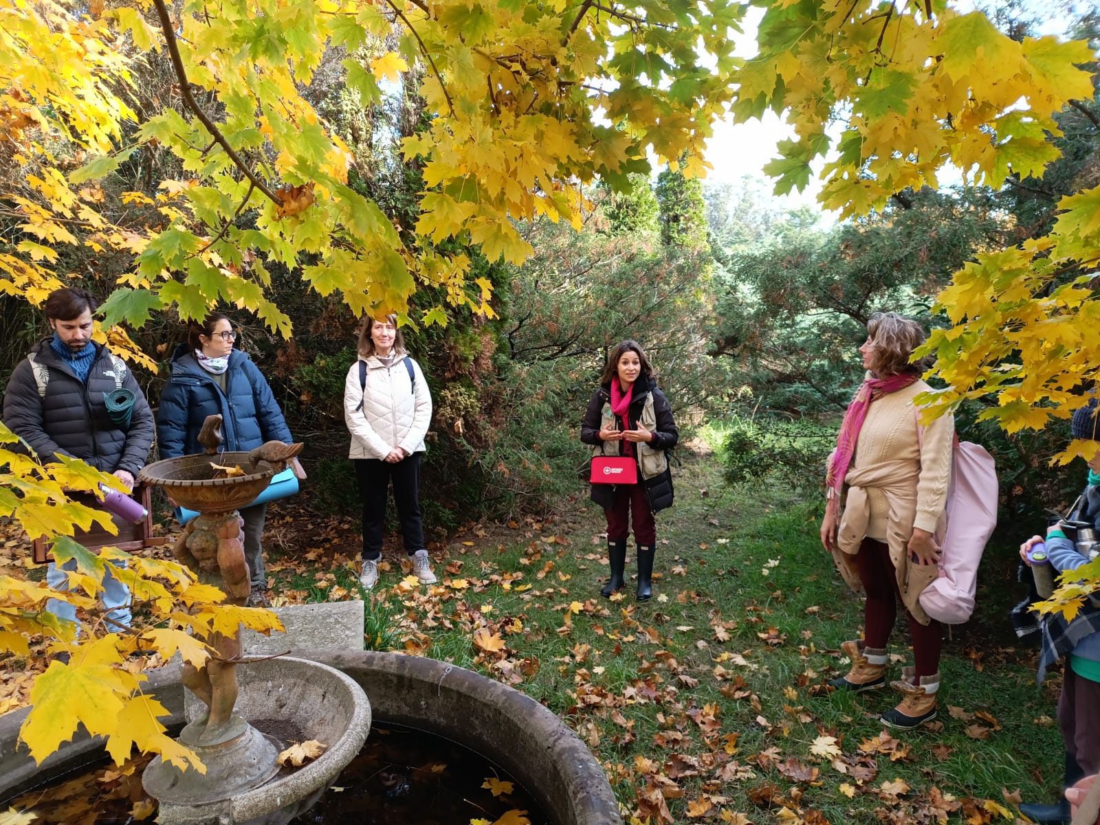 Encuentro de baño de bosque junto a una fuente, guiado por Magdalena Zurita