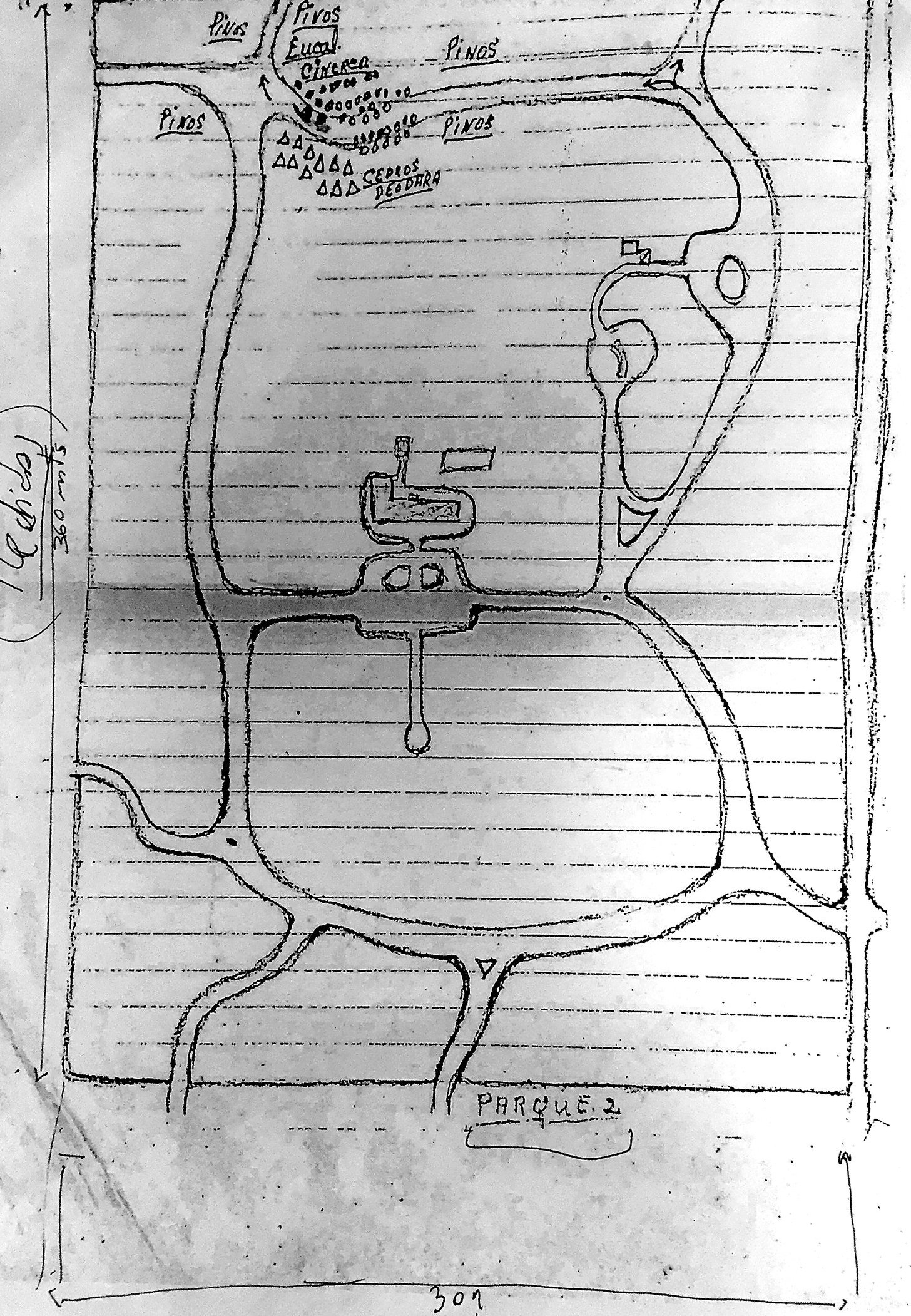 Plano original del Parque 1 dibujado a mano por el fundador, con grupos de especies anotados